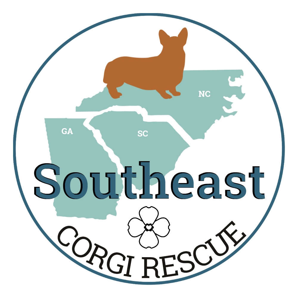 Dogs In Our Care – Southeast Corgi Rescue